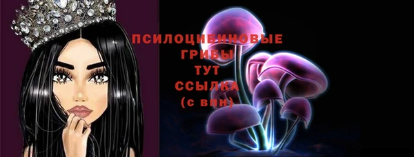 дурь Бугульма