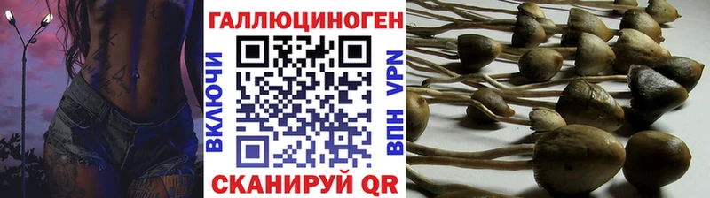 Галлюциногенные грибы мухоморы  Дорогобуж 